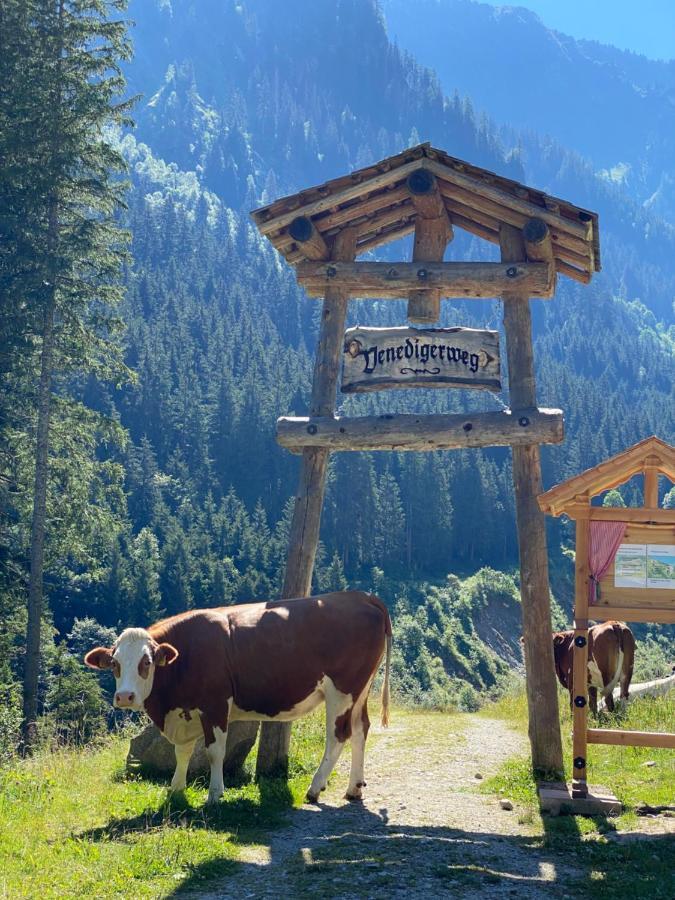Pension Dorferwirt Брамберг-ам-Вильдкогель Экстерьер фото